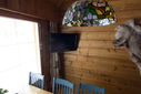20120407_155801_0720.jpg